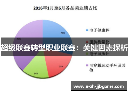 超级联赛转型职业联赛：关键因素探析