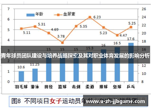 青年球员团队建设与培养战略探索及其对职业体育发展的影响分析